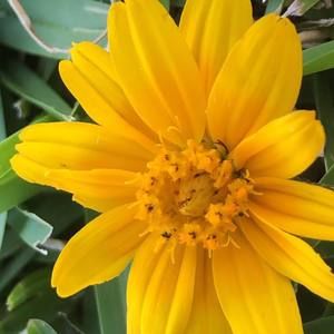 Meet your Posher, Bella